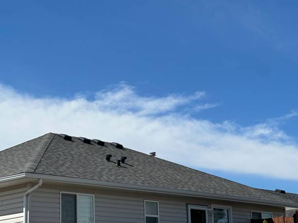 Best Asphalt Shingle Roofing  in Yacolt, WA
